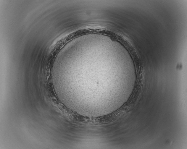 X0000114200920200910231340