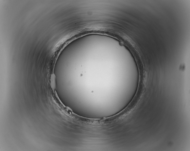 X0000114200922200910231340