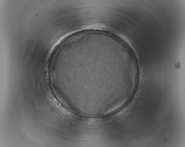 X0000114200923200910231340