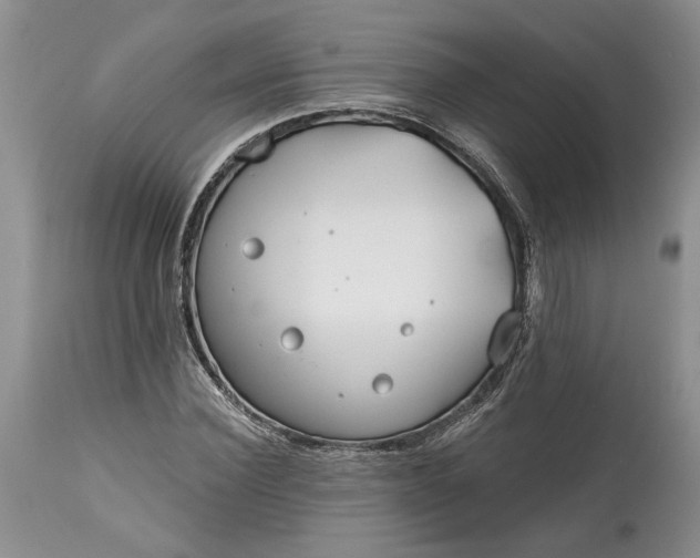 X0000114200924200910231340