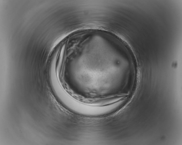 X0000114200925200910231340