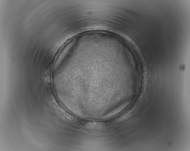 X0000114200929200910231340