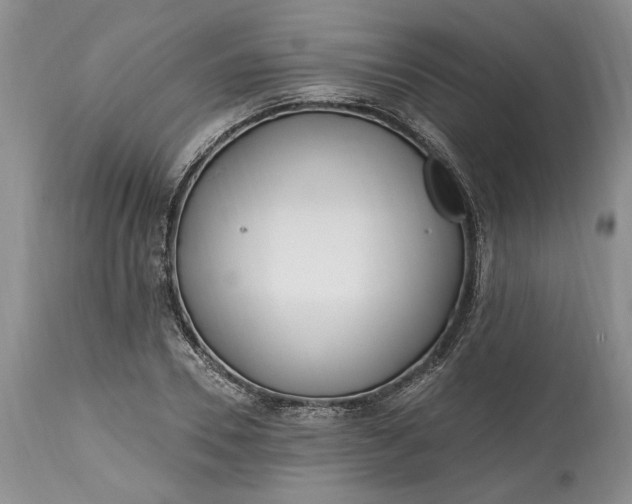 X0000114200930200910231340