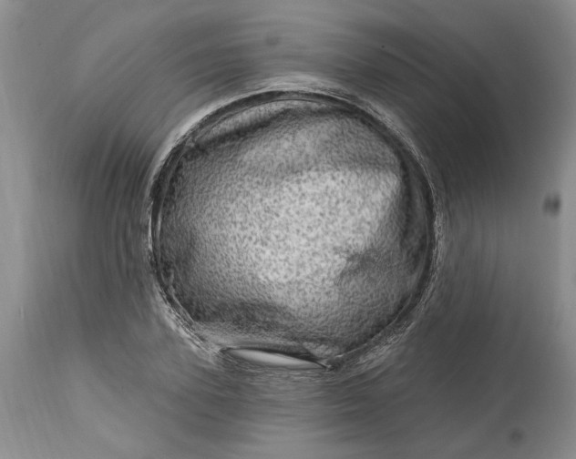 X0000114200931200910231340