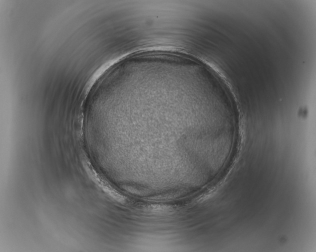 X0000114200933200910231340