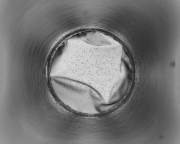 X0000114200934200910231340