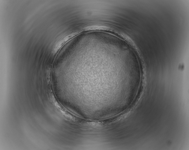 X0000114200937200910231340