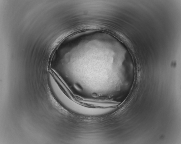 X0000114200938200910231340