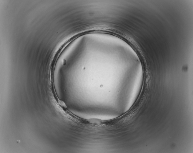 X0000114200939200910231340