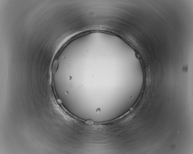 X0000114200940200910231340