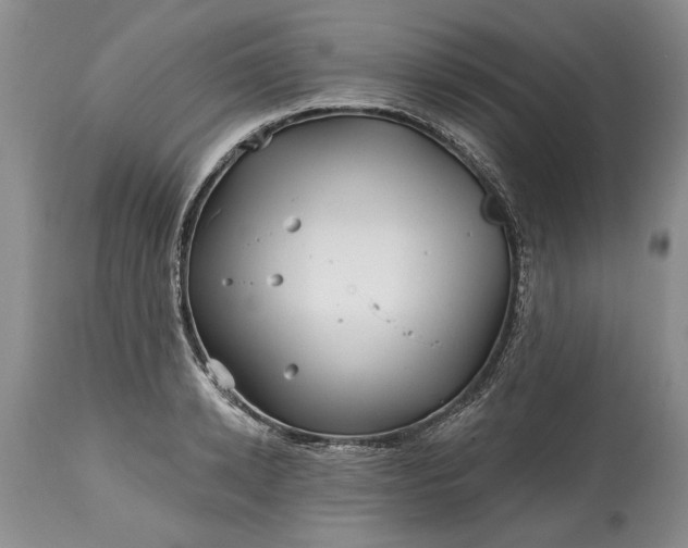 X0000114200942200910231340