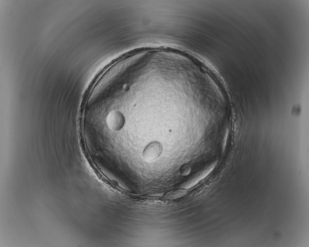 X0000114200943200910231340