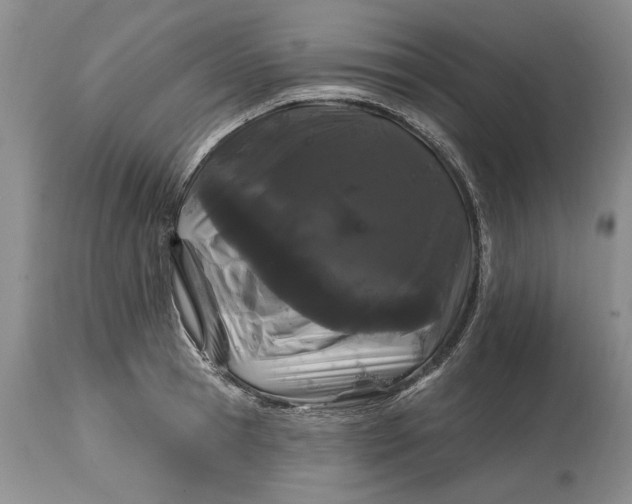 X0000114200945200910231340