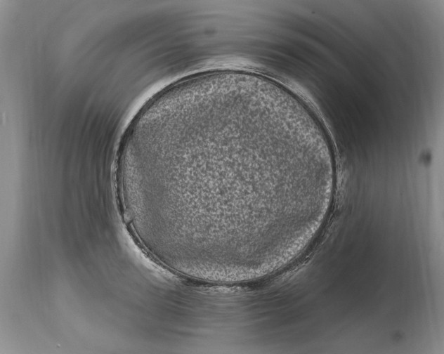 X0000114200947200910231340