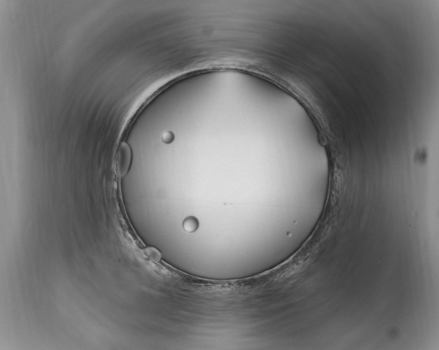 X0000114200948200910231340