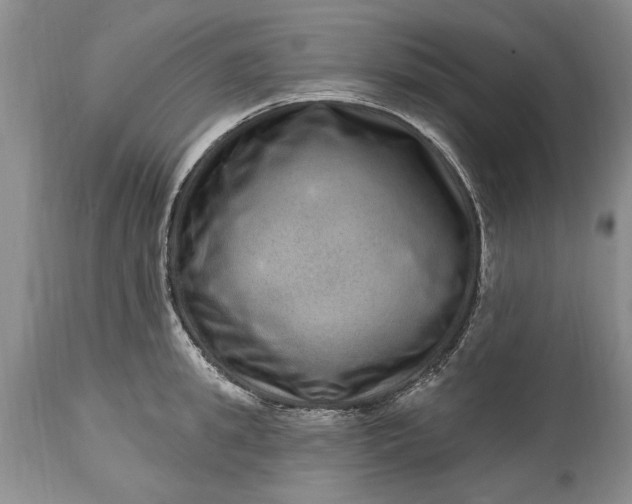 X0000114200949200910231340