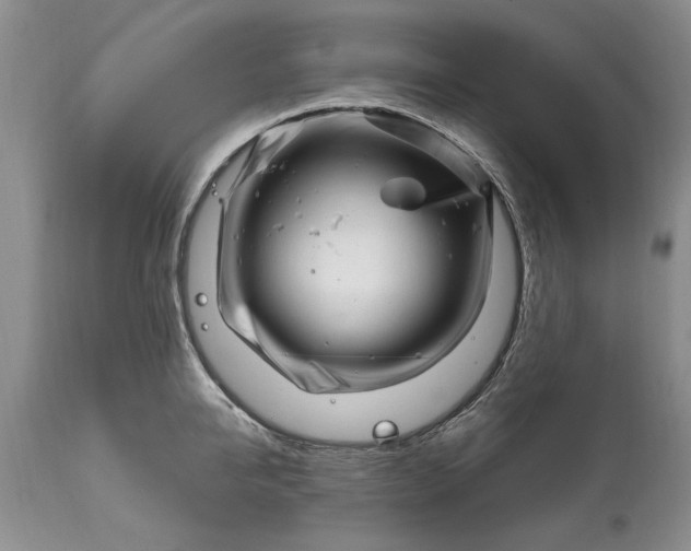 X0000114200950200910231340