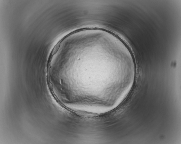 X0000114200951200910231340