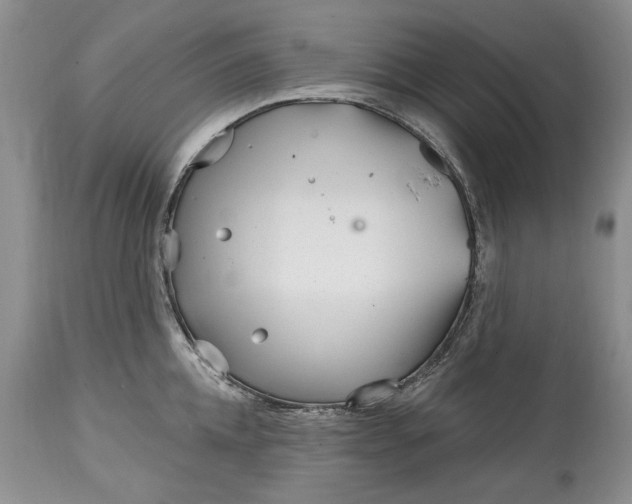 X0000114200952200910231340