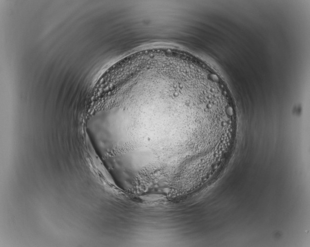 X0000114200953200910231340