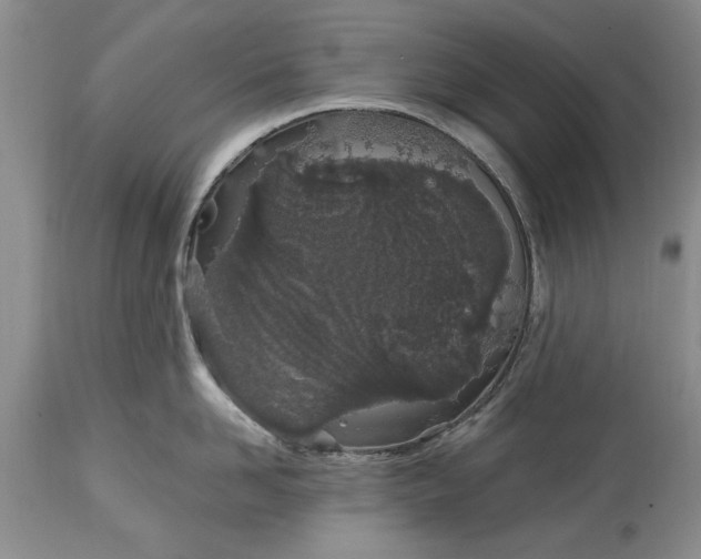 X0000114200958200910231340