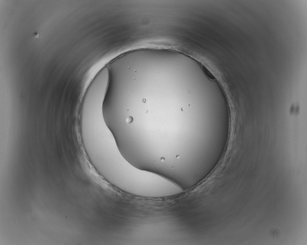 X0000114200960200910231340