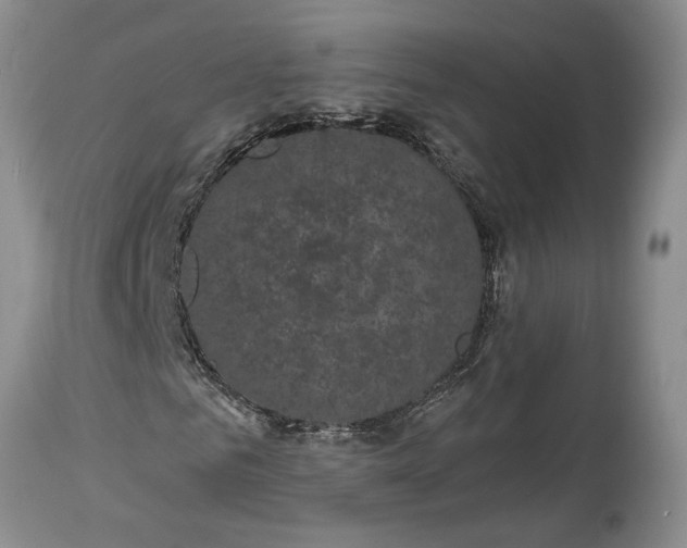 X0000114200961200910231340