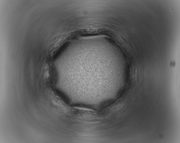 X0000114200962200910231340