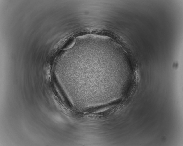 X0000114200963200910231340