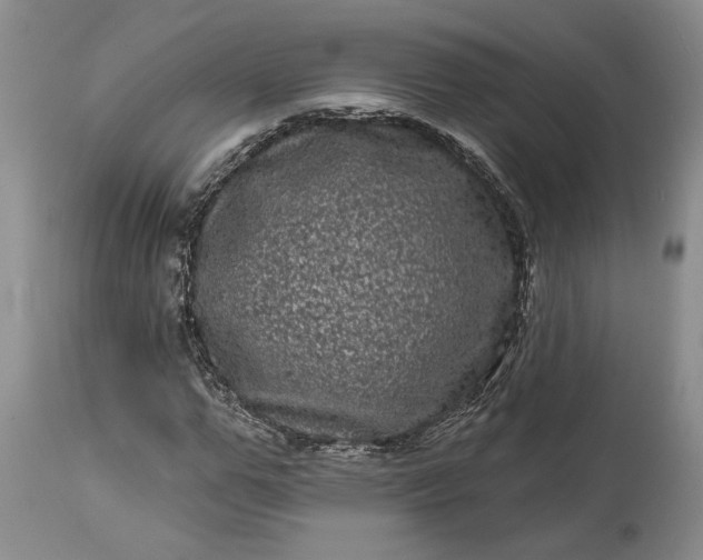 X0000114200967200910231339