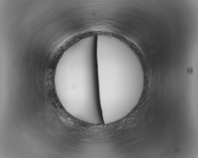 X0000114200968200910231339