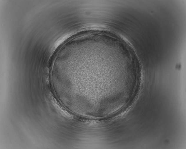 X0000114200970200910231339