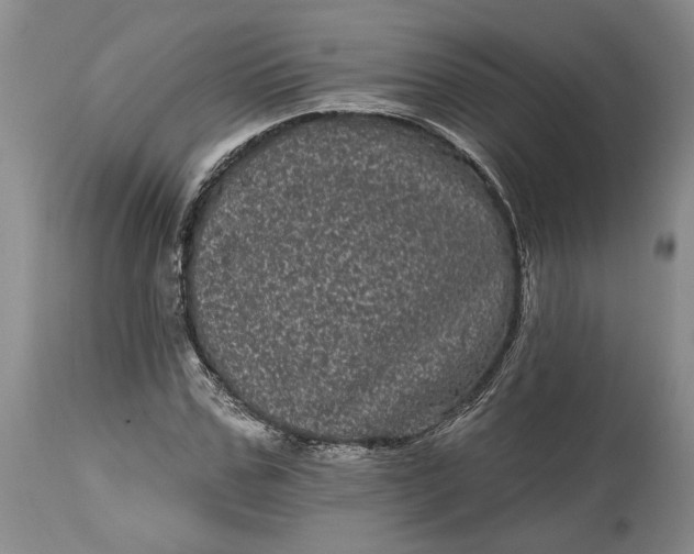 X0000114200971200910231339