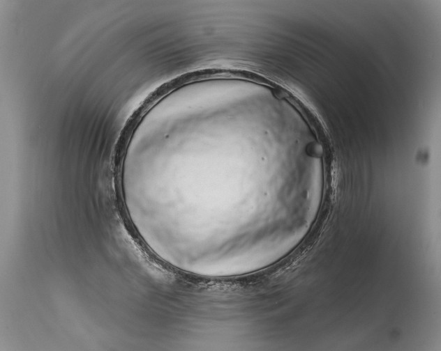 X0000114200972200910231339