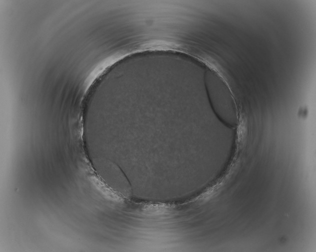 X0000114200973200910231339