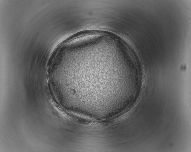 X0000114200974200910231339