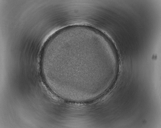 X0000114200975200910231339