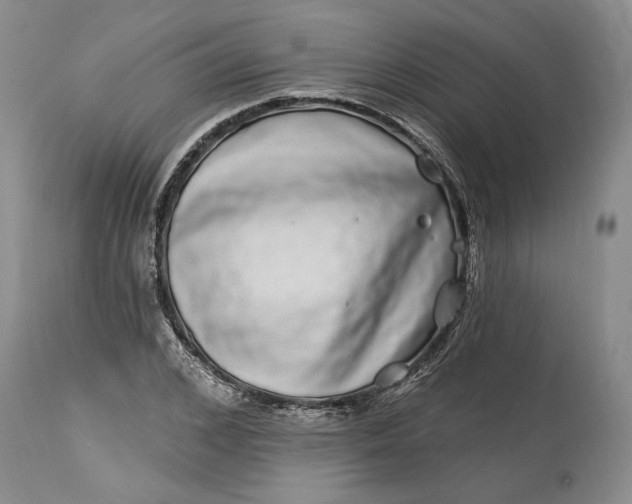 X0000114200976200910231339