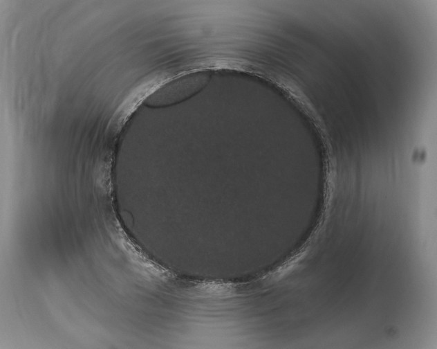 X0000114200977200910231339