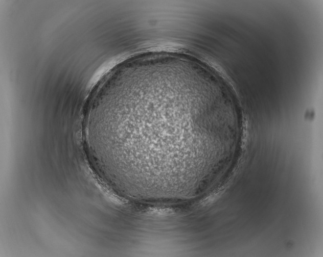 X0000114200978200910231339