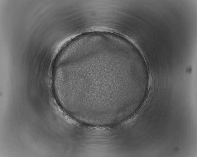 X0000114200979200910231339