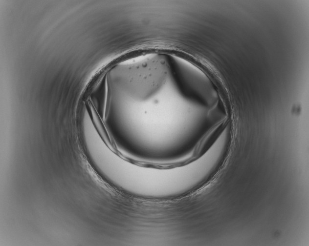 X0000114200981200910231339