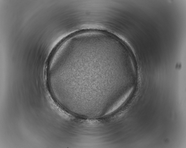 X0000114200983200910231339