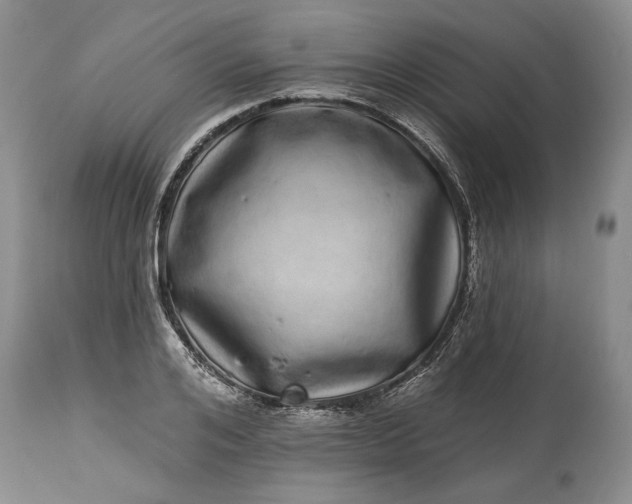 X0000114200984200910231339