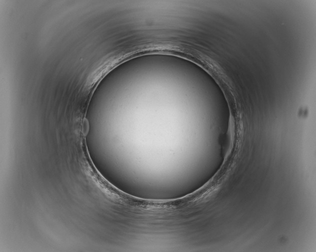 X0000114200985200910231339