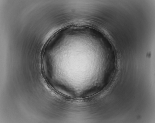 X0000114200986200910231339