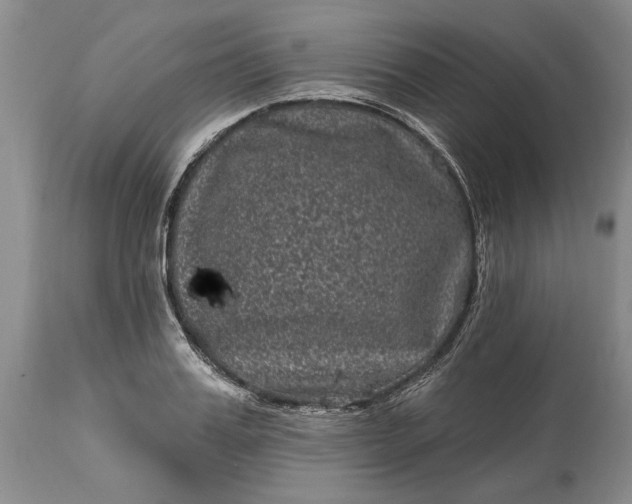 X0000114200987200910231339