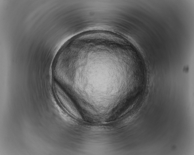 X0000114200988200910231339