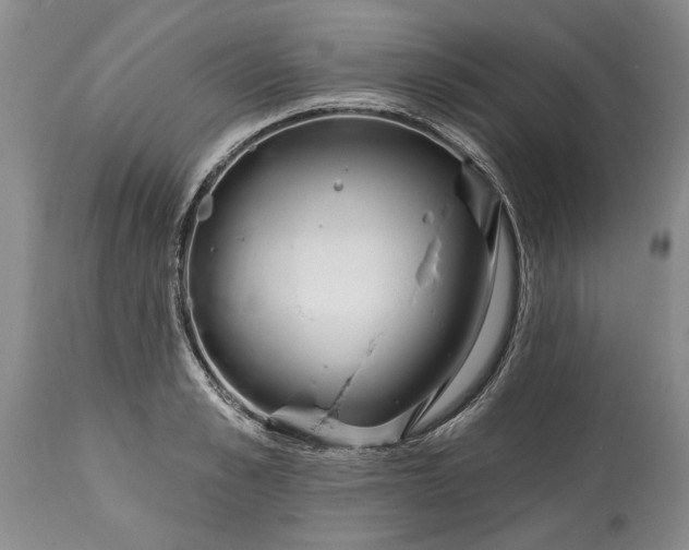 X0000114200989200910231339