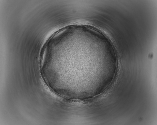 X0000114200990200910231339